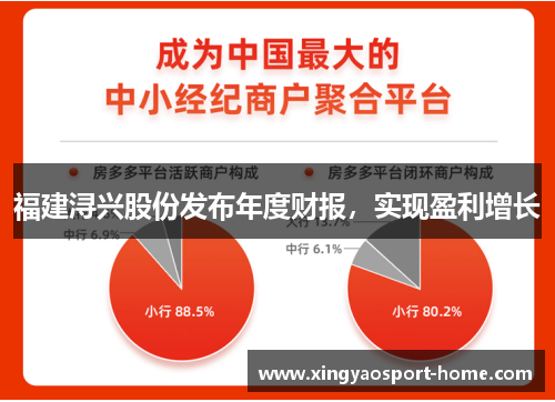 福建浔兴股份发布年度财报，实现盈利增长